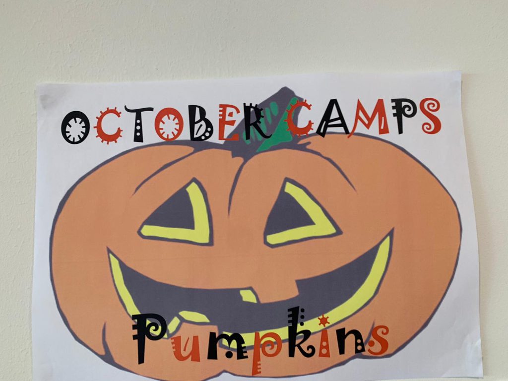 pumpkin picture
